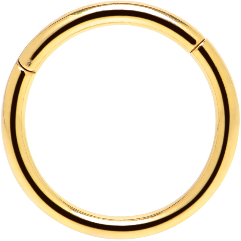 16G 3/8 Gold Tone Anodized Hinged Segment Ring