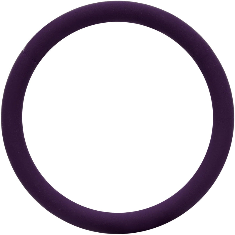 18G 3/8 Dark Purple Matte Cartilage Hinged Segment Ring