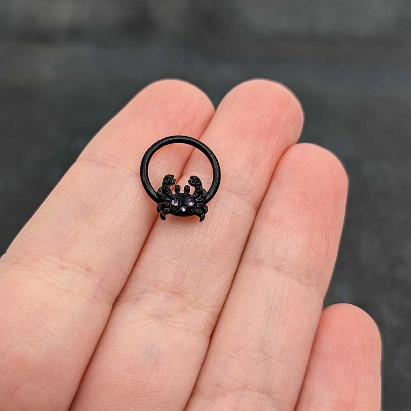 16G 3/8 Purple Gem Black Chic Crab Hinged Segment Ring