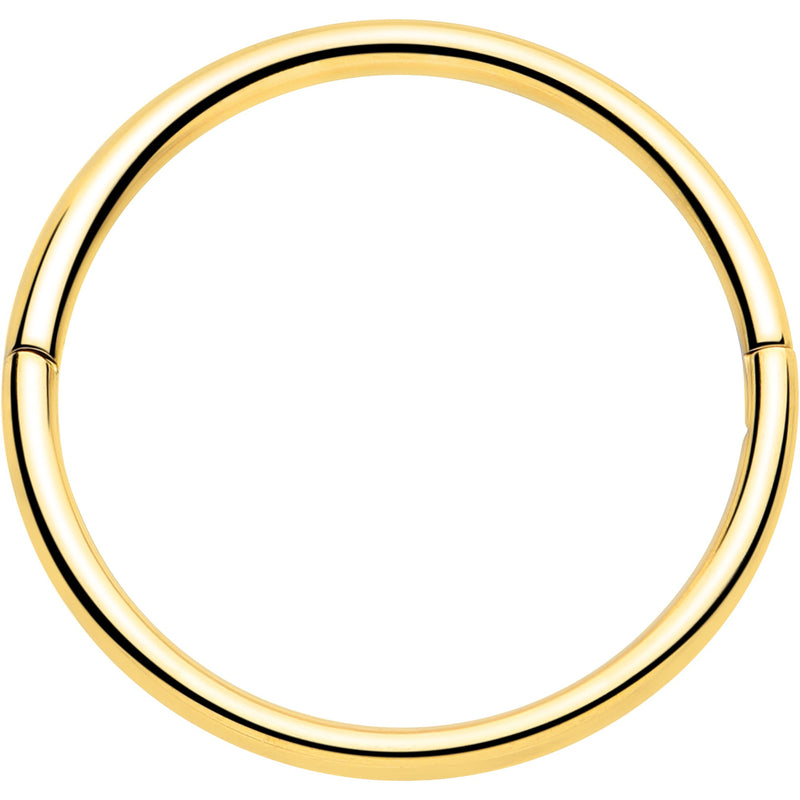 20G Implant Grade Titanium Half Closure Hinged Segment Ring