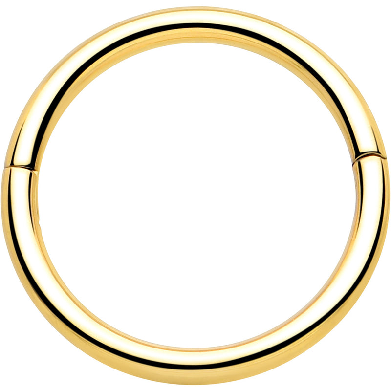 20G Implant Grade Titanium Half Closure Hinged Segment Ring