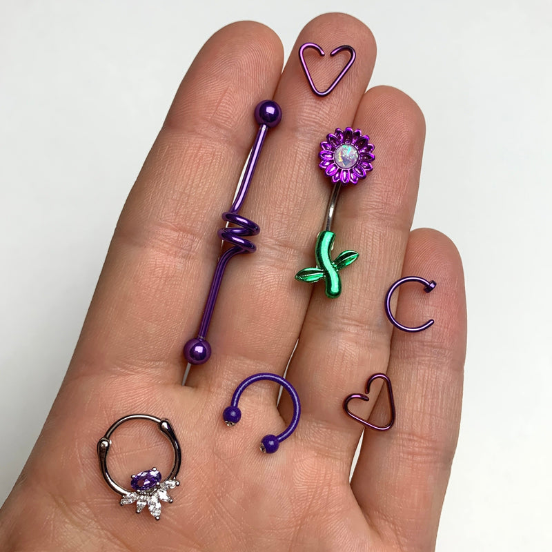 20G 5/16 Purple Anodized Titanium Nose Hoop
