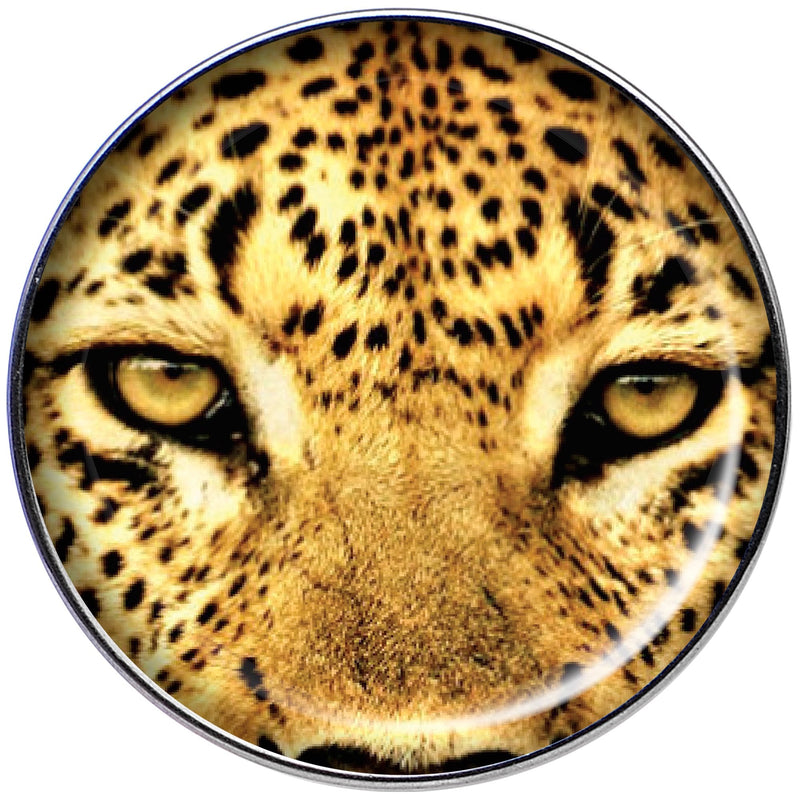 16G 1/4 Full Color Leopard Eyes Tragus Cartilage Earring